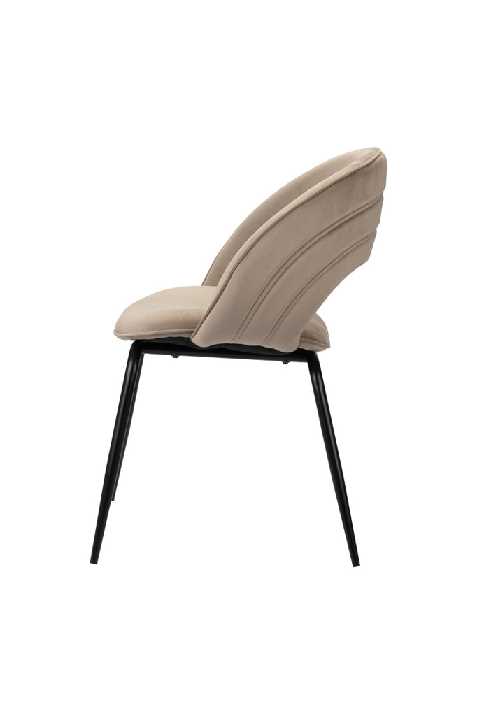 Pole to Pole Eetkamerstoel Rainbow (Set van 2) – Modern & Stijlvol